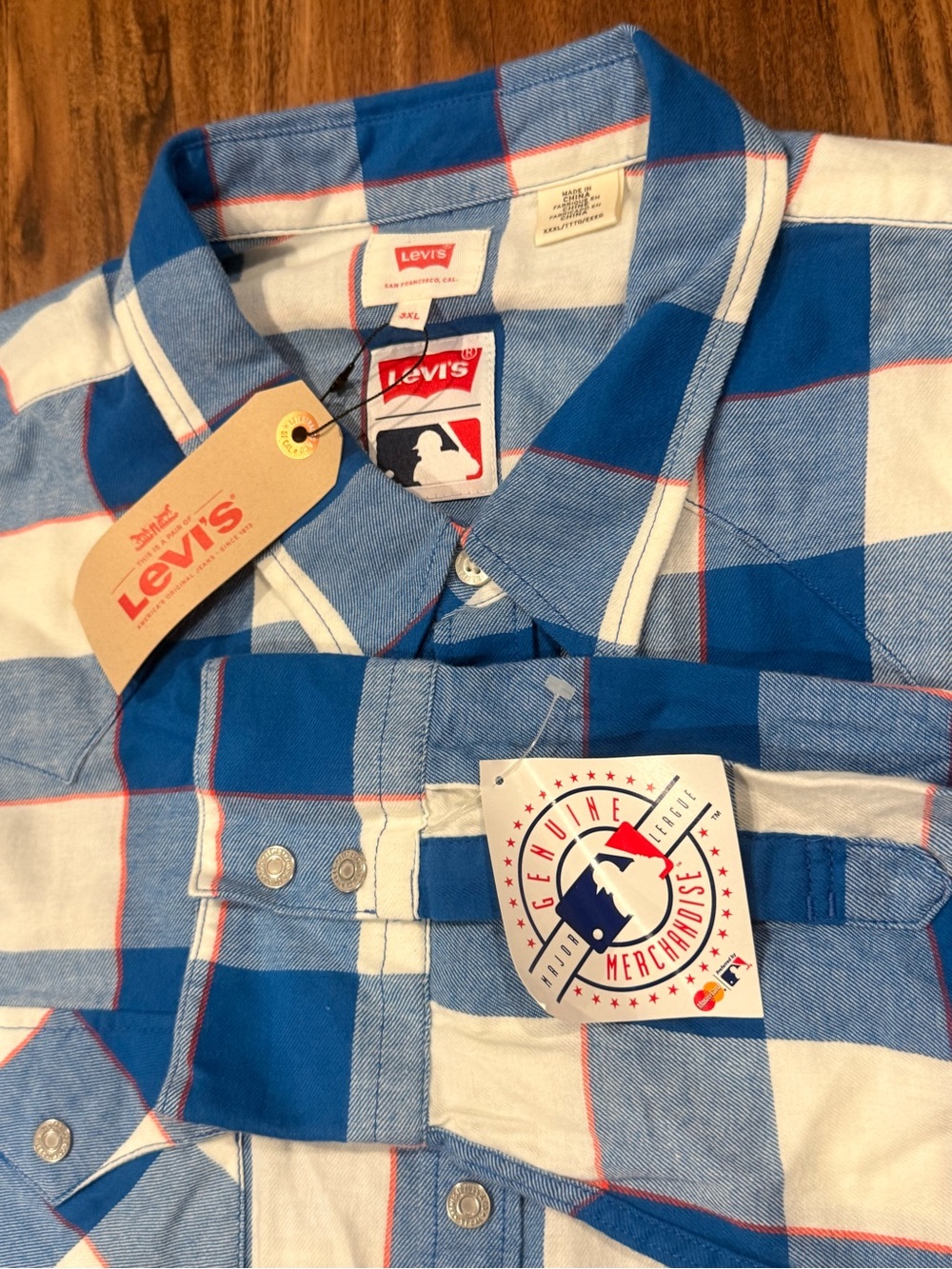 Levi's Blue and White Checked Button-Down Shirt with Red Accents